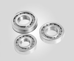 圓柱滾子(zi)軸承--鷹牌軸承(cheng)