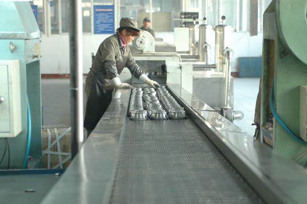 鷹牌軸承-全自(zi)動清洗機